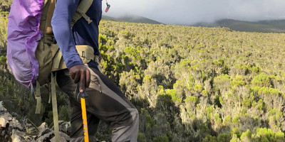 8 days kilimanjaro climb via lemosho route - Photo 5