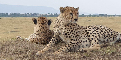 6 days tanzania private safari - Photo 20