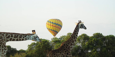 Days closer to your dreams! 4 days 3 nights samburu & olpejeta conservancy - Photo 4