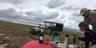 12 Days and 11 Nights Tanzania Family Safari - Photo 1
