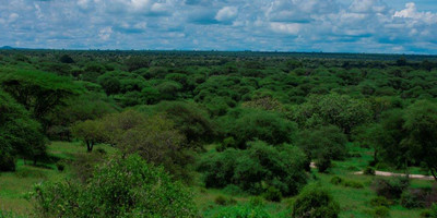 4 days tanzania camping (budget) safari tarangire, serengeti and ngorongoro - Photo 10