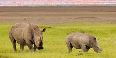 Lake nakuru national park day trip - Photo 4