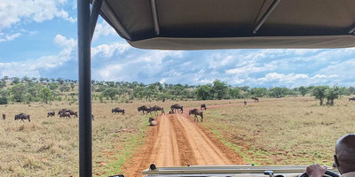 3 days best safari - Photo 3