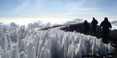 7 days kilimanjaro hiking via lemosho route with burigi chato safari co l.t.d - Photo 3