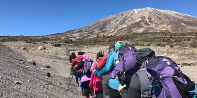 7 days kilimanjaro climb lemosho route - Photo 5