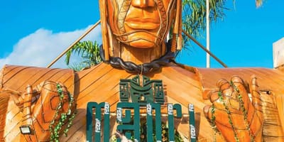 Maori - Photo 7