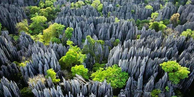 Madagascar discovery and splendor. - Photo 1