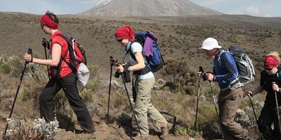 11 day gorilla, chimpanzee trekking & climbing rwenzori mountains adventure - Photo 6