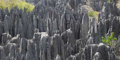 Malagasy coral reef heart trip - Photo 7