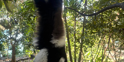 Nosy-be : excursion nosy iranja - Photo 5