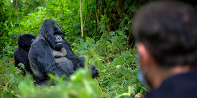 7 day fixed departure tour to rwanda - Photo 1