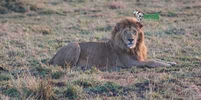 3 days breathtaking safari to queen elizabeth national park - Photo 12