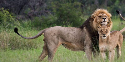 04 day primates to predators: kibale & queen elizabeth safari - Photo 2
