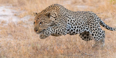 6 day tanzania camping safari - Photo 4