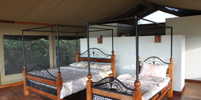3 days masai mara budget camping tour - Photo 4