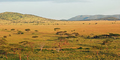 6 day camping and lodging the big five unique safari in northern tanzania - Photo 4