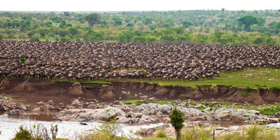 7 days and 6 nights serengeti mara river migration crossing luxury safari - Photo 1