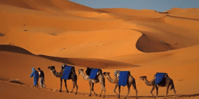 Fes desert tours 2 days - Photo 1
