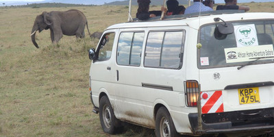 3 days masai mara adventure safari - Photo 1