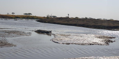 6 days tanzania private safari - Photo 1