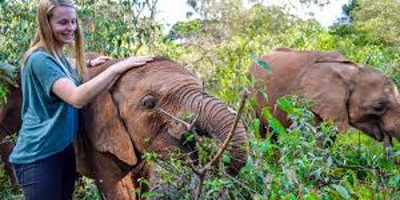 9 days serengeti wildebeest migration photographic safaris - Photo 2