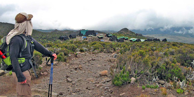 Lemosho route 6 days kilimanjaro climb - Photo 3