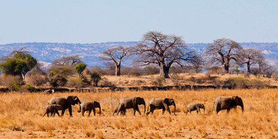 4-day amboseli, tsavo west & tsavo east safari adventure - Photo 6
