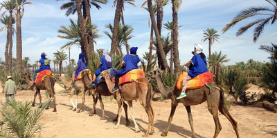 Dromadaires marrakech - Photo 5
