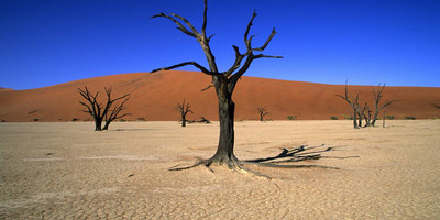 3 days sossusvlei camping - Photo 2