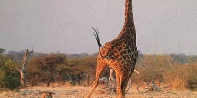 4 days camping safari - Photo 2