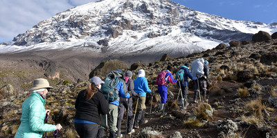 7 days kilimanjaro climb lemosho route - Photo 4