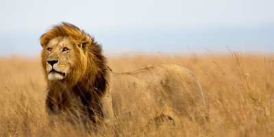 4 days camping safari - Photo 9