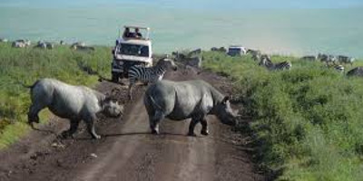4 day last-minute safari from zanzibar - Photo 4
