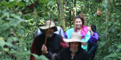3-day self driving gorilla trekking in bwindi & community batwa walk - Photo 3