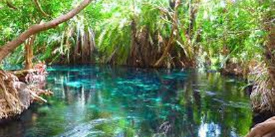 Chemka hotspring - Photo 8