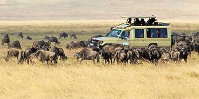 1 day safari ngorongoro crater - Photo 1