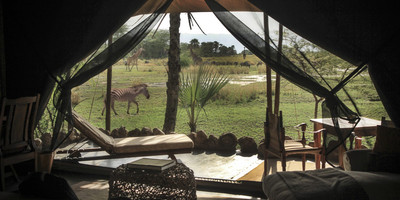 8 day tanzania wildlife safari and cultural tourism - Photo 8