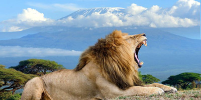 3 days mystical kenya amboseli national park safari - Photo 3
