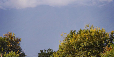 Mount kilimanjaro hike 5 days marangu route - Photo 7