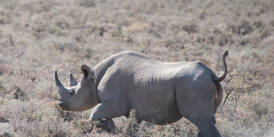 6 Days Namibia Express Safari - Photo 3