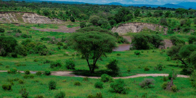 5 days tanzania camping (budget) safari - Photo 5