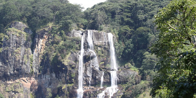 3Days 2Night Mikumi National Park and Udzungwa Mountain - Photo 1