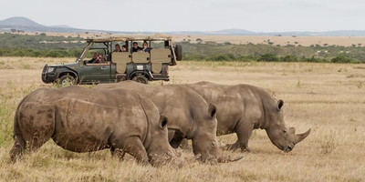 5 days 4 nights mt kenya, samburu, olpejeta - Photo 3