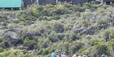  6 days kilimanjaro climbing via marangu route - Photo 1