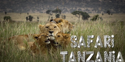7 days tanzania safari marangu gate, tarangire national park, serengeti national park, ngorongoro crater, and chemka {kikuletwa} hot spring - Photo 1