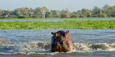 7 Day Southern Tanzania Exploration Safari - Photo 8