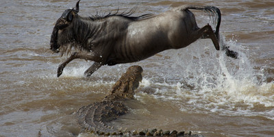 8 days fantastic kenya safari - Photo 6