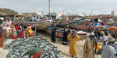 The best of senegal,8 days - Photo 1