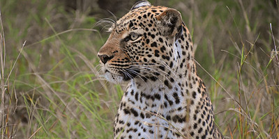 3 days queen elizabeth wildlife safari - Photo 5