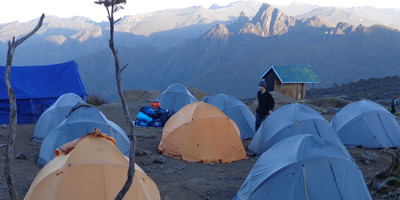 8 days kilimanjaro climb lemosho route - Photo 3